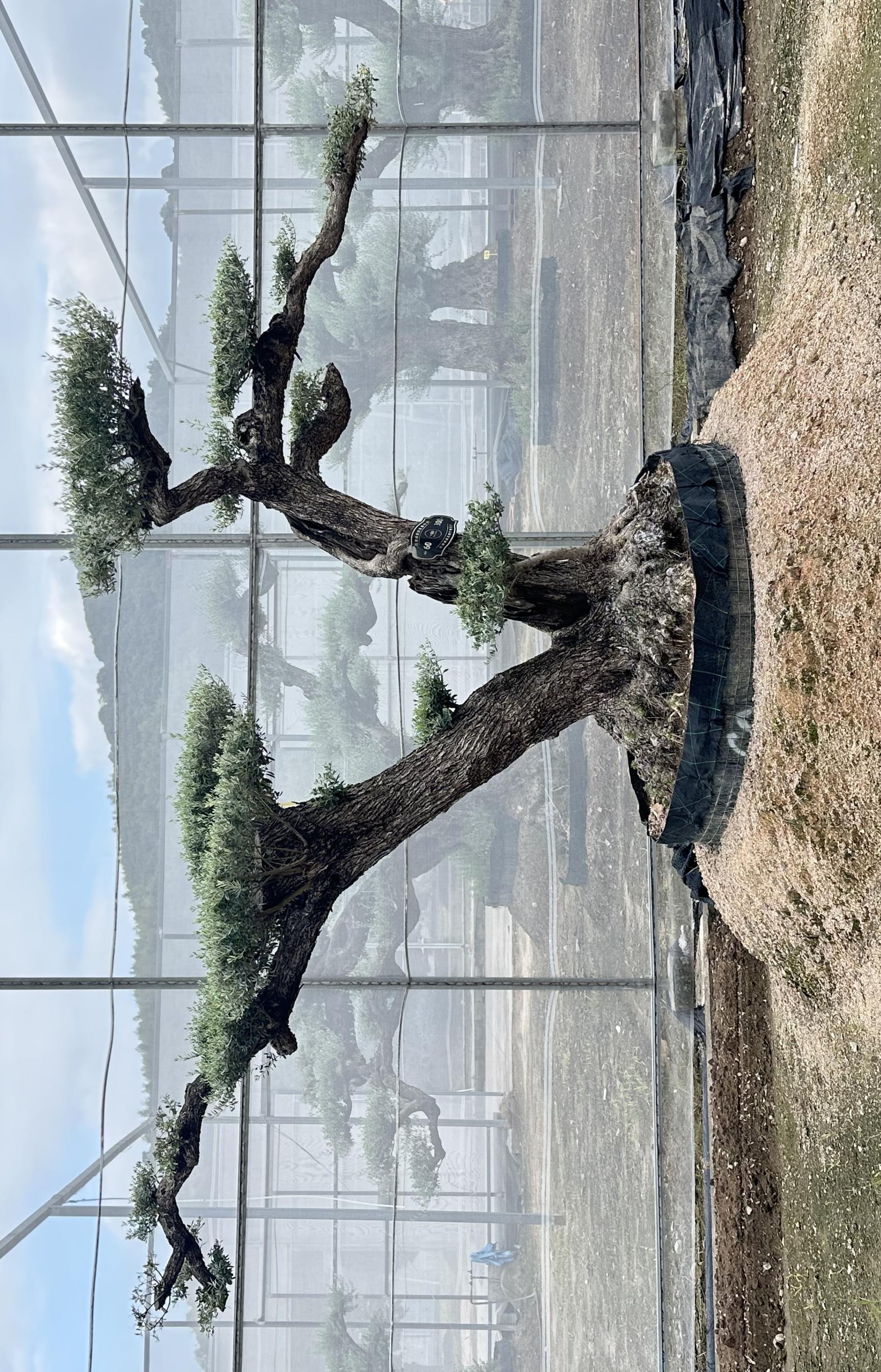 OL-0029 实景照片 1
