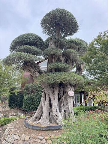 OL-0235 实景照片