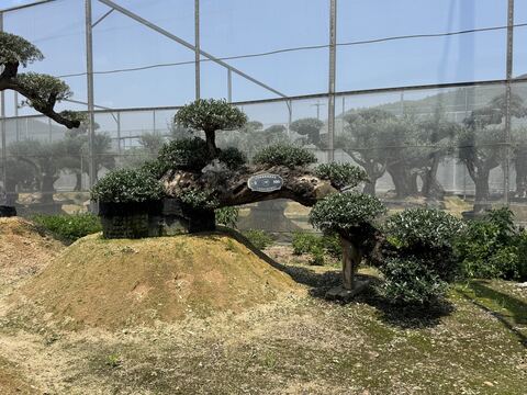 OL-0034 实景照片