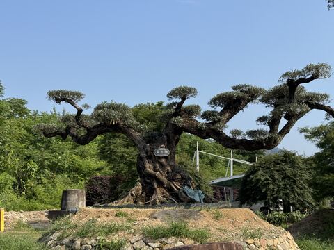 OL-0057 实景照片